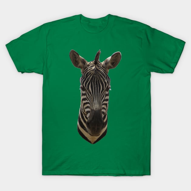 Zebra Portrait T-Shirt by ellenhenryart